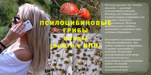 метадон Алзамай